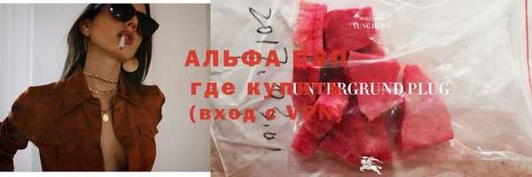 ECSTASY Ладушкин