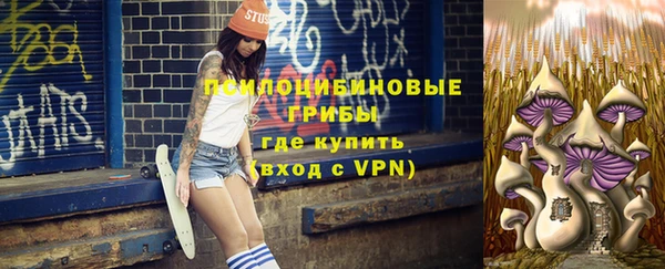 стаф Куйбышев