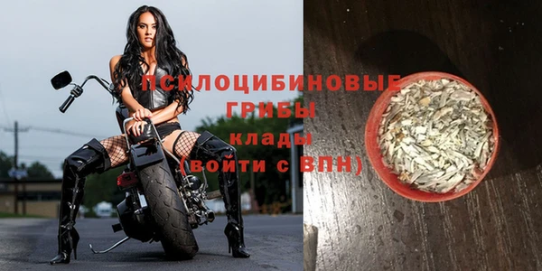 тгк Кукмор