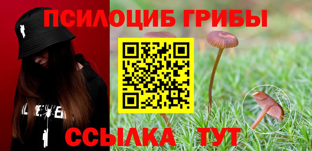 Псилоцибиновые грибы Cubensis Нефтекумск